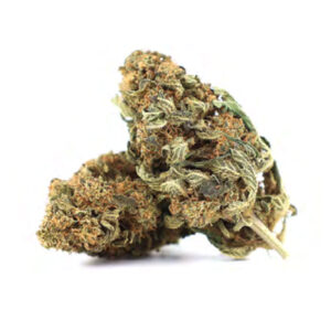 Cherry Wine CBD Indicus Flower CBD Réunion 974