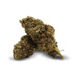 Donald Duck HEC-10 Indicus Flower CBD Réunion 974