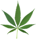 Cannabis_leaf_2.svg